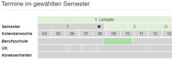 Ansicht Kalender FaGe